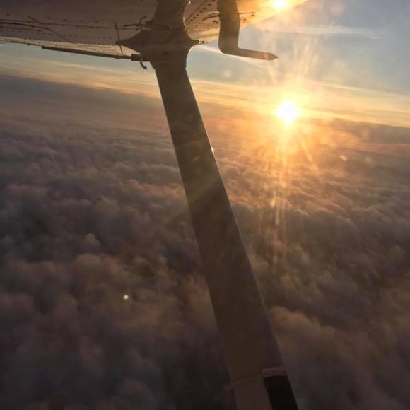 Meet your Posher, Julia - Picture 1 of 1